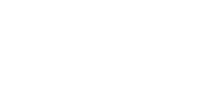 Passaporte de Luxo